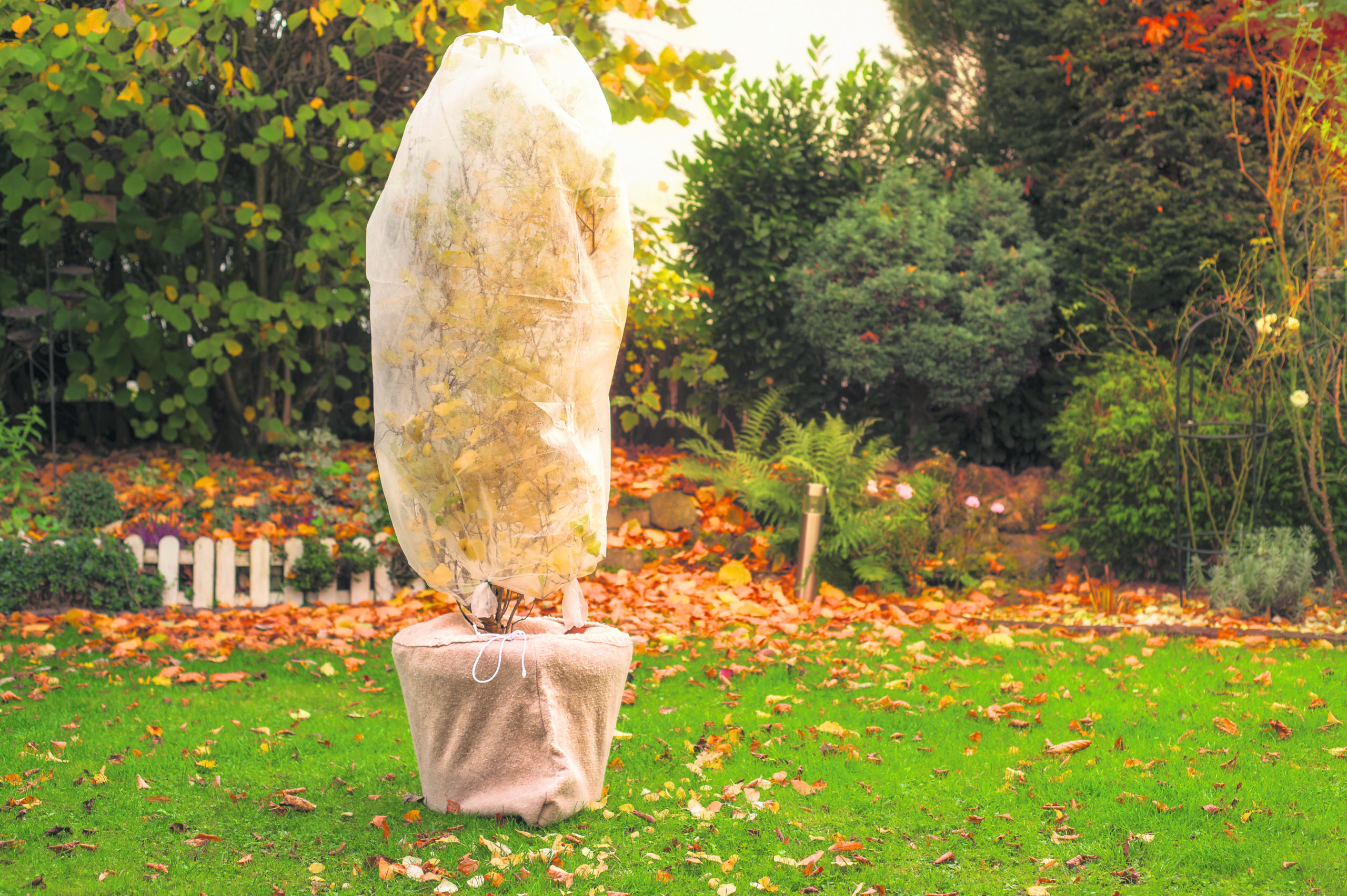 Eingepackte Kübelpflanzen sind besser vor Frost geschützt, während liegen gelassenes Laub den Boden vor Kälte bewahrt und Tieren als Winterquartier dient.
