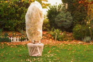 Eingepackte Kübelpflanzen sind besser vor Frost geschützt, während liegen gelassenes Laub den Boden vor Kälte bewahrt und Tieren als Winterquartier dient.
