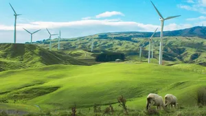 Der Windpark im Kanton Waadt ist erst einmal vom Tisch: Die Einsprüche bezogen sich insbesondere auf die vom Umweltdepartement erteilte Rodungsgenehmigung zu dessen Bau (Themenbild).