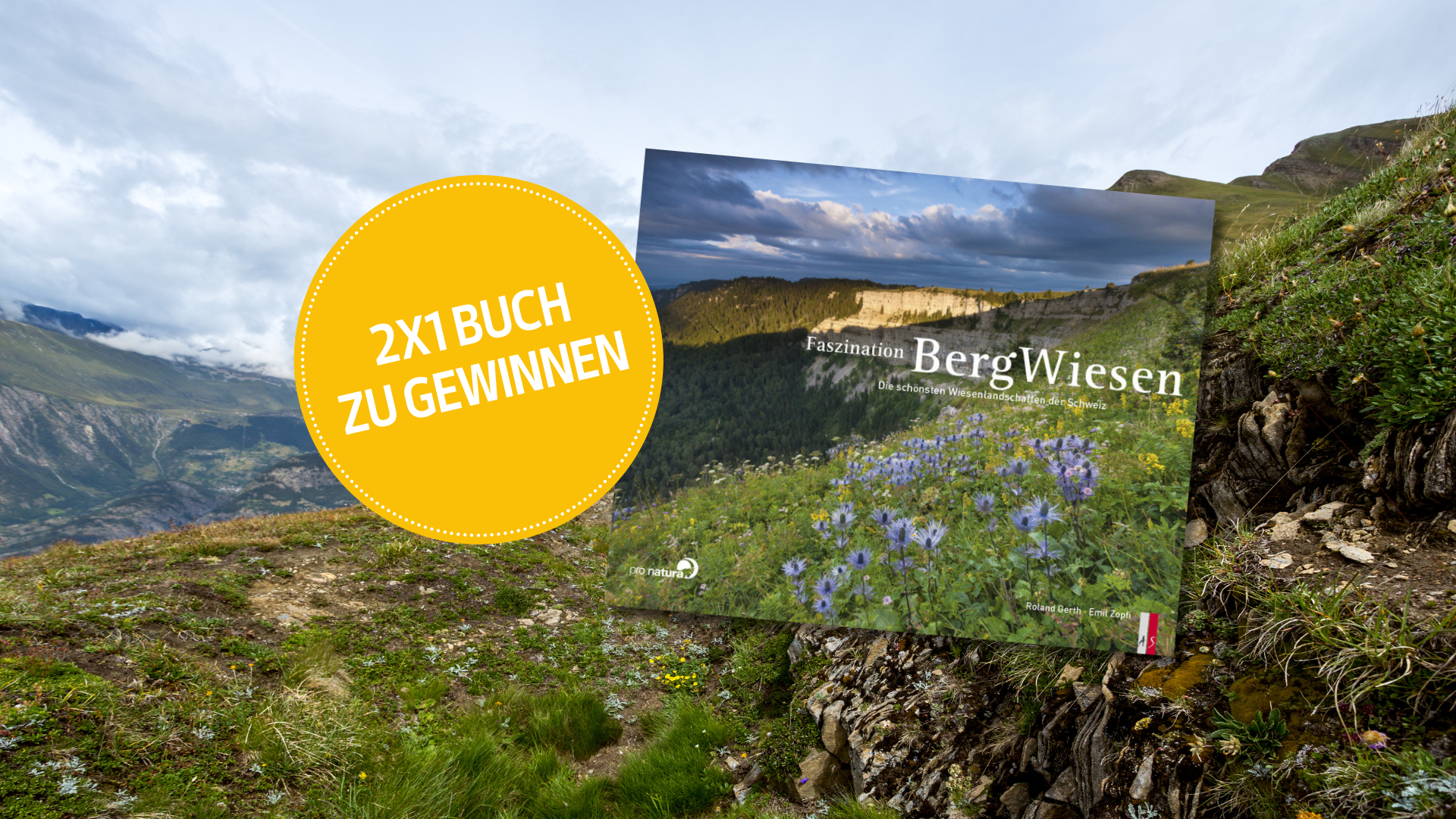 Gewinnen Sie eines von zwei Büchern «Faszination Bergwiesen»