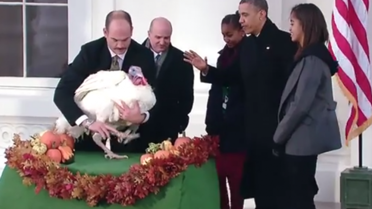 obama.png