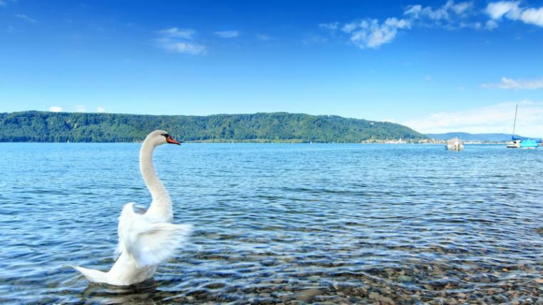 Bodensee