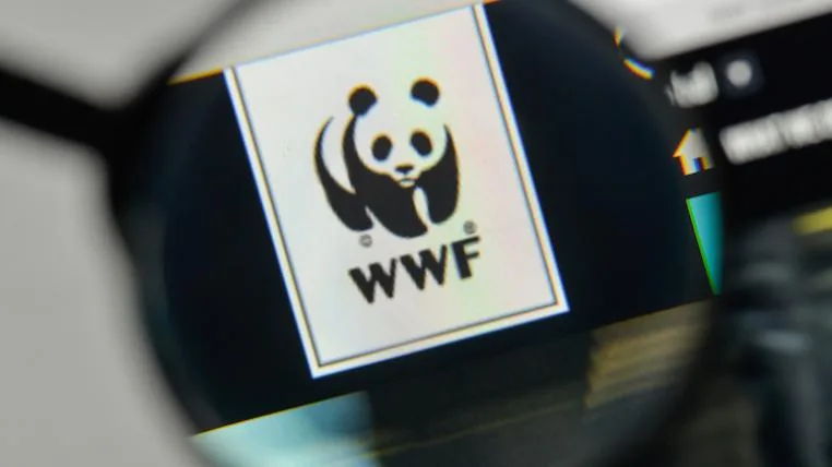 3211bc3871f87a540f4fd6ccff52f261e49e0e03 WWF