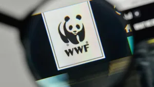 Der WWF ist unter Beschuss geraten: Das Online-Magazin «Buzzfeed» berichtete, die Umweltorganisation unterstütze seit vielen Jahren Wildhüter, die verdächtigte Wilderer systematisch gefoltert und teils ermordet hätten.