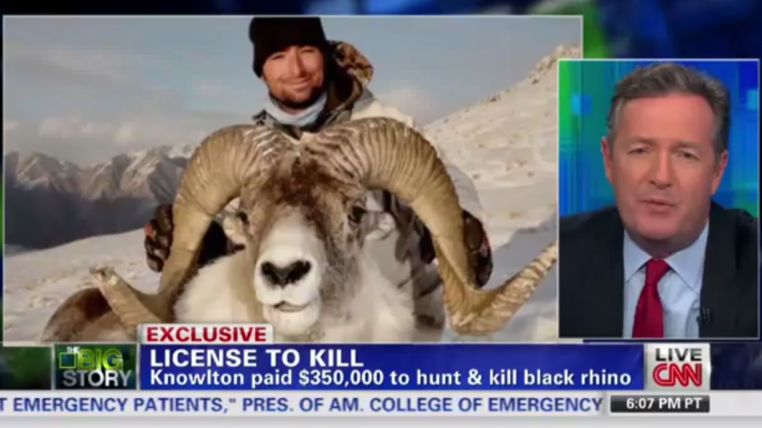 cnn.png