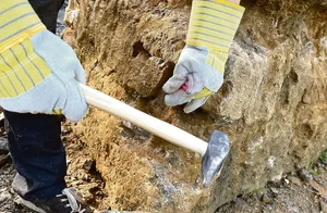 Fossilien suchen mit Hammer und Meissel