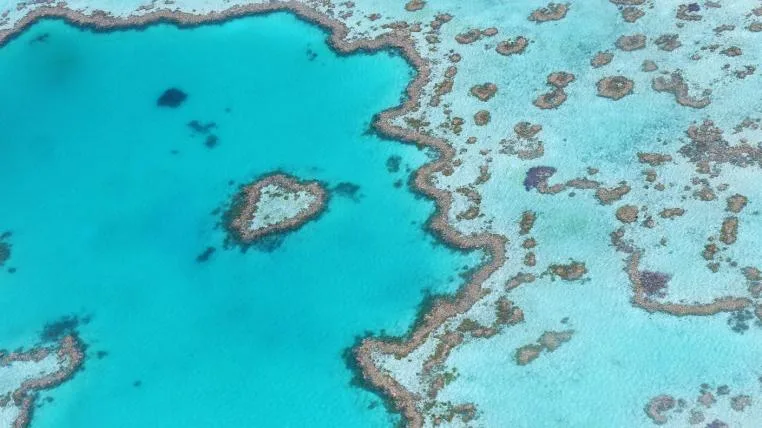 7b065aa610ab5165bc8ace94dcaa1733d0e88271 Great Barrier Reef von oben
