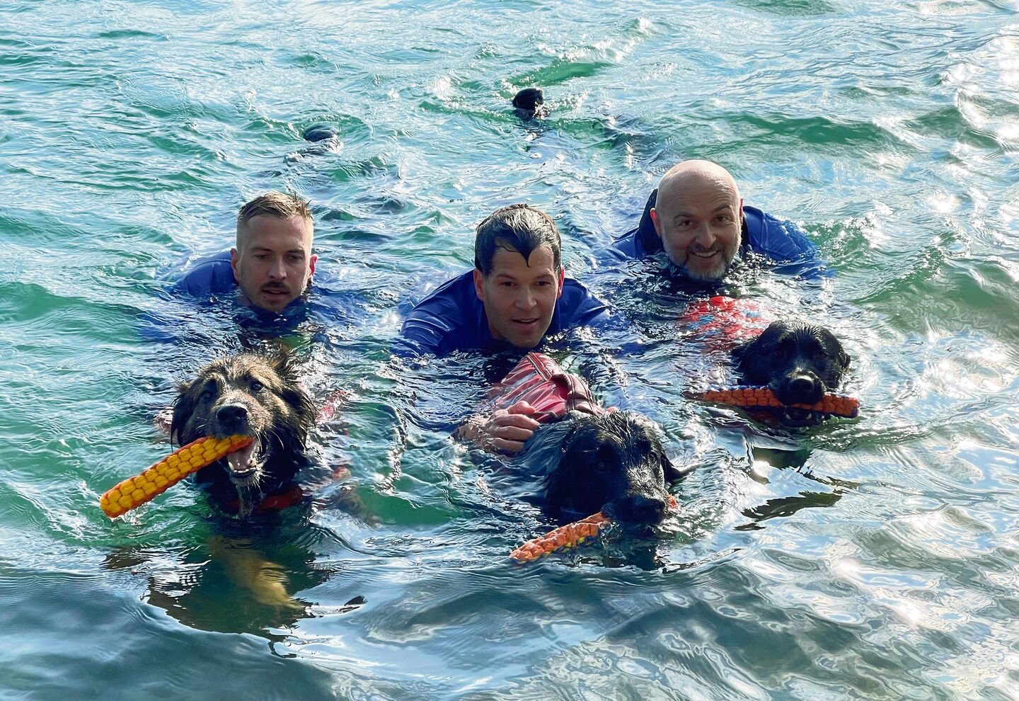 Mensch und Hund bilden bei der Wasserrettung ein Team. Beim Training steht der Spass im Vordergrund.