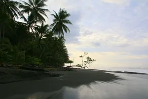 Die Stände des Corcovado-Nationalparks auf der Osa-Halbinsel an der Westküste Costa Ricas sind rau und wild.