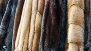 Auch die Modemarke Prada hat sich der «Fur Free Alliance» angeschlossen, einer Koalition von Tierschutzorganisationen gegen Mode mit Pelz.