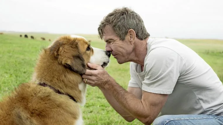 e3296fce2b04a07df8538ef52ac58a576144f7a1 Dennis Quaid und Bailey