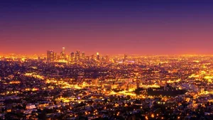 Lichtverschmutzung – wie hier in Los Angeles – macht vielen nachaktiven Tieren zu schaffen.