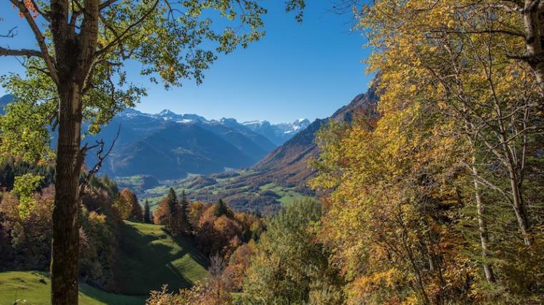 Wald Kanton Glarus