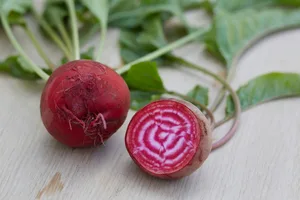 Die Rande Chioggia eignet sich für ein Carpaccio. Roh und in dünnen Scheiben geschnitten, bleibt das Ringmuster erhalten.