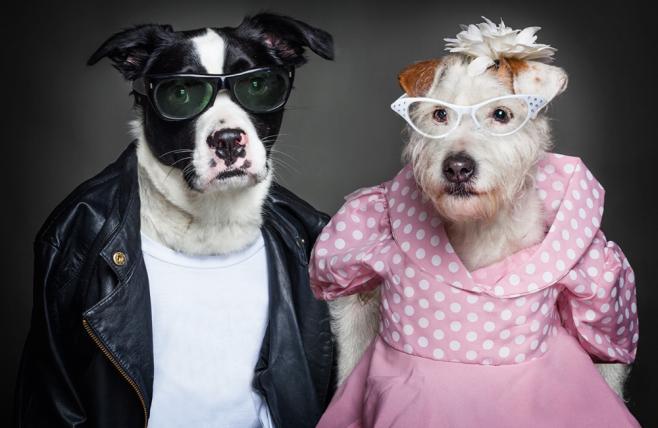 01-dog-people.jpg