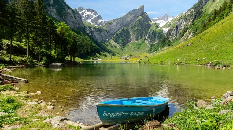 9295c8cf5a13ae7522e6e4e1e5d2cf3de5ff5da5 Seealpsee
