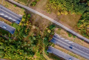 Naturnah gestaltete Brücken mit Deckungsmöglichkeiten und Lärmschutz ermöglichen Wildtieren das angstfreie Überqueren von Strassen.