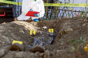 Diverse Fliegen- und Kurzflüglerarten besiedeln Leichen. Sie geben den Forensikern Hinweise zu Todesart, Liegezeit und bei einem Tötungsdelikt vielleicht sogar zum Täter.