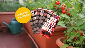 Dieses Buch zeigt einfache, alltagstaugliche Wege zu mehr Achtsamkeit, Nachhaltigkeit und Lebensqualität.