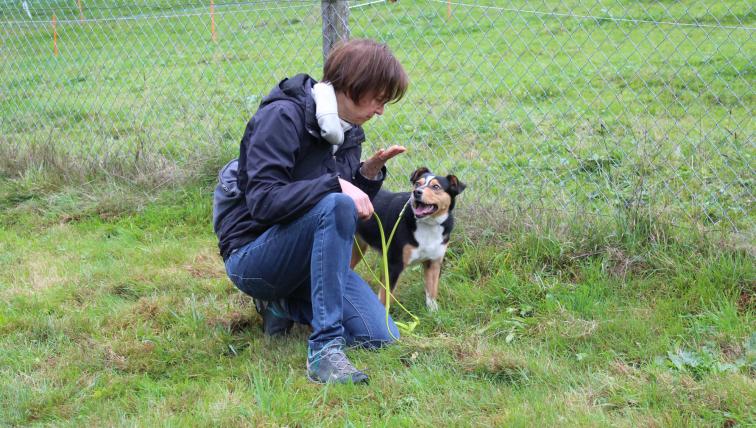 Hofhundetraining bei Sandra Weber in Urnäsch AR