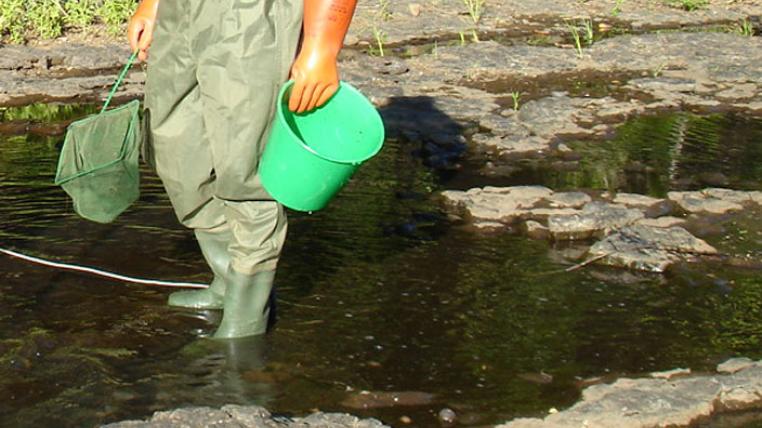 Jensens_Crossing_fish_survey_s.jpg
