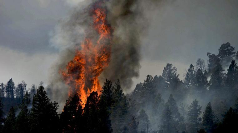 Waldbrand in Colorado, USA