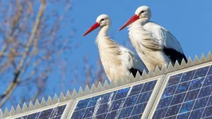 Knatsch um Neuregelungen in Deutschland: Der Bundesverband Erneuerbare Energie kritisierte, mit der EEG-Novelle werde eine Chance vertan, das wichtigste Klimaschutzinstrument zu stärken.
