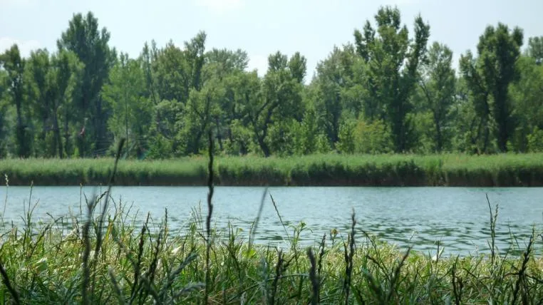 96a0ba9081369437266af708de0125e0304d0d90 donau.jpg