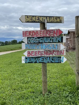 Bei Pflück dis Glück können neben Erdbeeren noch zahlreiche andere Früchte und Gemüse selber geerntet werden.