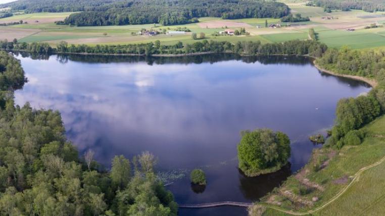Hüttwiler See
