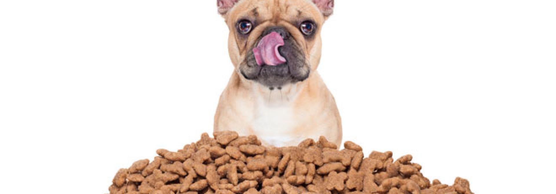 hundefutter.jpg