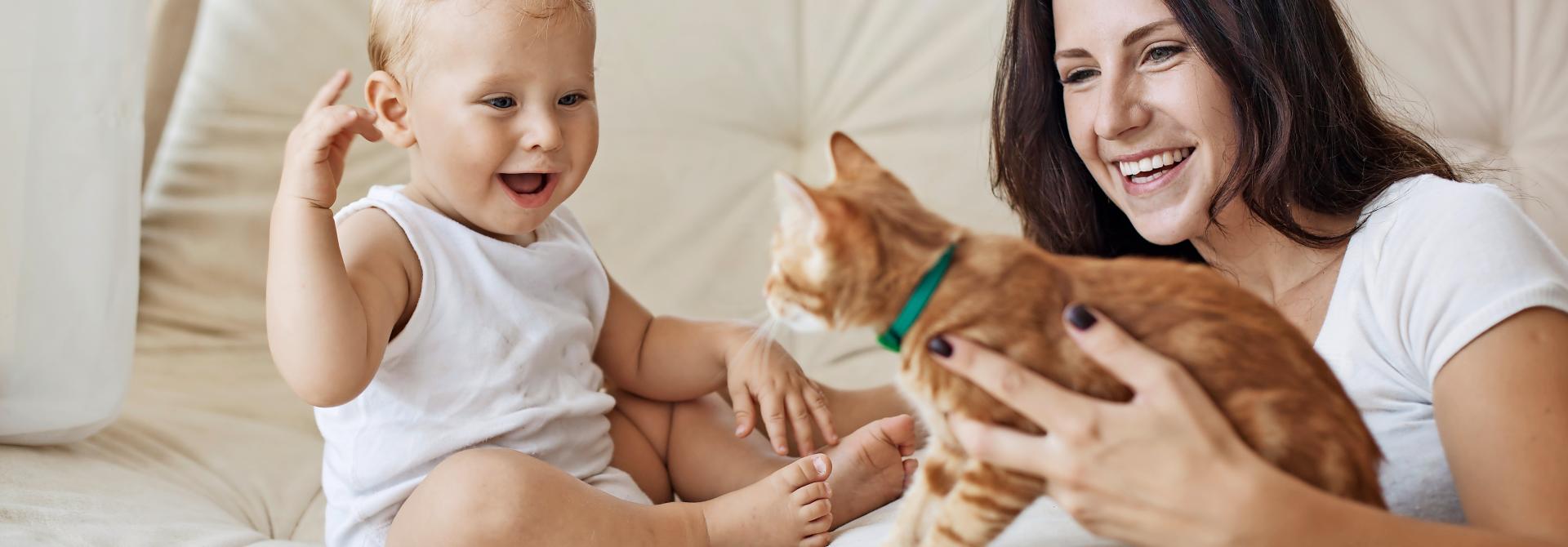 Katze, Mutter und Kleinkind