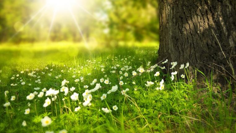 Biodiversität