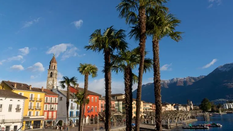 0ea193ec4350610c5e39ea26e153e86171309d2b Tessinerpalmen in Ascona