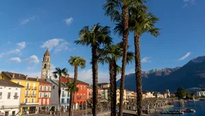Die Tessinerpalme – hier in Ascona – ist ein invasiver Neophyt.