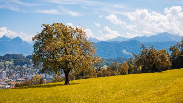 Kulturland mit Luzern im Hintergrund