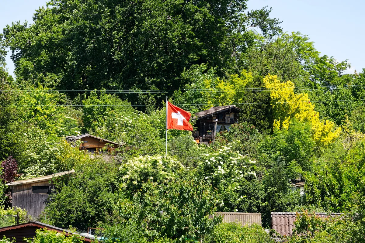 Artenvielfalt bedeutet dabei nicht einfach, möglichst viele verschiedene Pflanzen unterzubringen. Wichtig ist auch, wie unterschiedlich ihre Eigenschaften sind – etwa Wuchsform, Blüten und Blätter, Ansprüche an Boden und Klima oder die Fähigkeit, mit Hitze und Trockenheit zurechtzukommen. Artenvielfalt bedeutet dabei nicht einfach, möglichst viele verschiedene Pflanzen unterzubringen. Wichtig ist auch, wie unterschiedlich ihre Eigenschaften sind – etwa Wuchsform, Blüten und Blätter, Ansprüche an Boden und Klima oder die Fähigkeit, mit Hitze und Trockenheit zurechtzukommen.