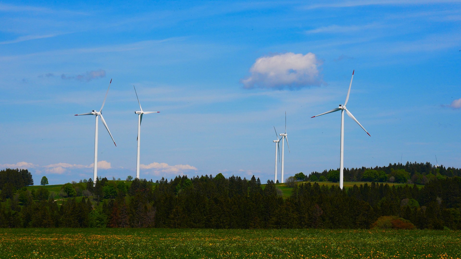 Wie Windparks das Mikroklima verändern