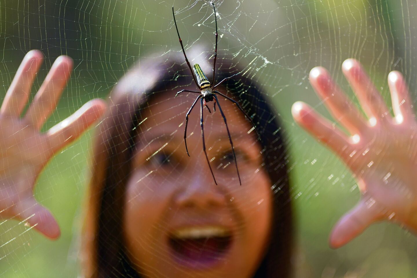 Frau mit Spinne