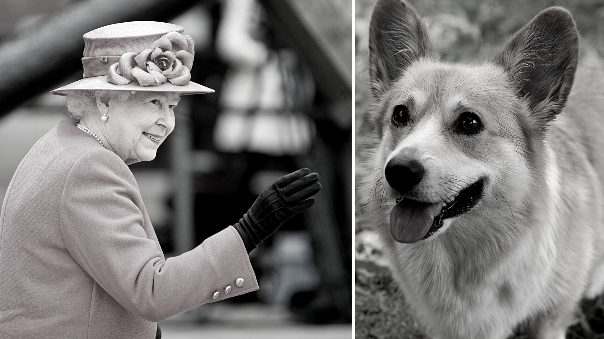 Queen Elisabeth II und ihre Liebe für Corgis und Pferde