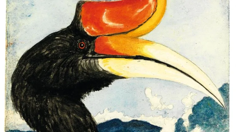 8a759bf690a420b1f4ea278ade5636979f9e920f Bild-4_Bruno-Manser-Tagebeucher-hornbill.jpg