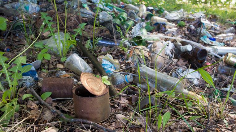 Illegal im Wald entsorgter Abfall