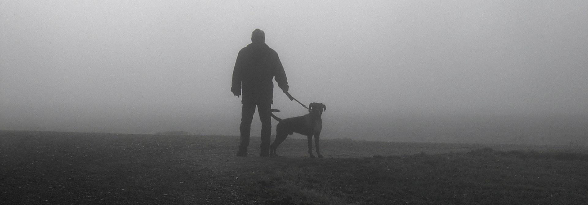 hund_r_metzger_pixelio_de.jpg