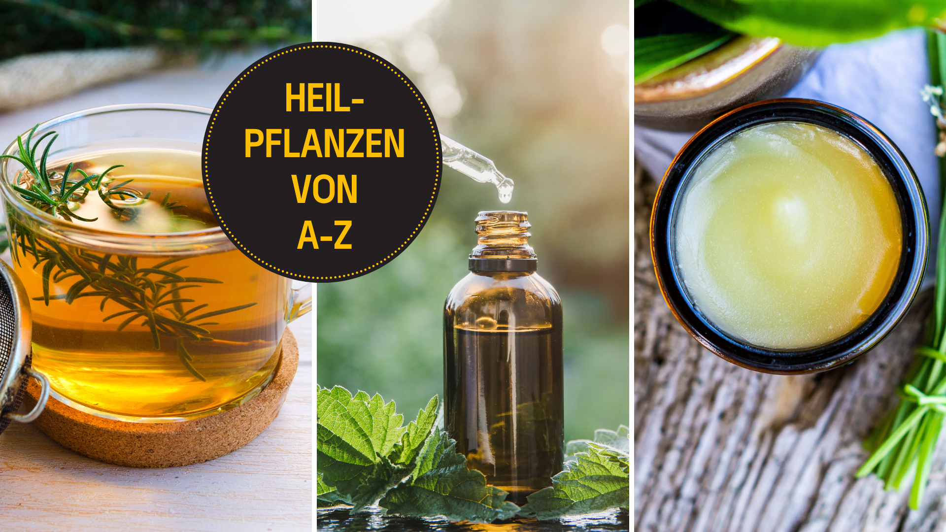 So machen Sie aus Heilpflanzen Tee oder Salben