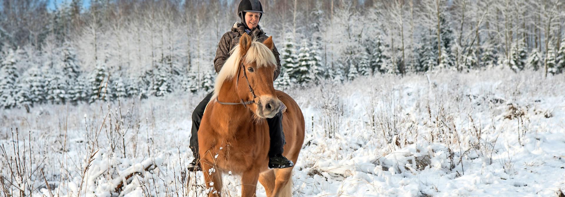 Reiterin im Schnee auf Pferd