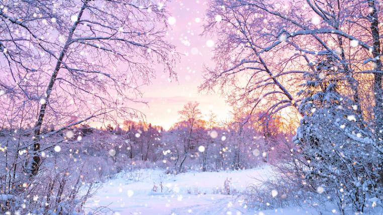 Winter