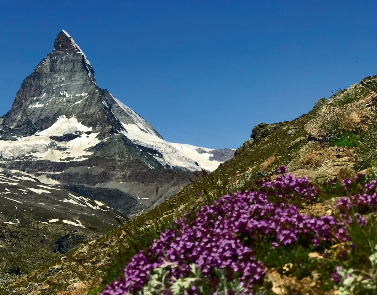 2c36583ca7422b33c703692a978038c15213370948ddd67d78749dc5e891f57b Matterhorn