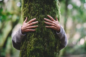 Wer die Natur bewusst mit allen Sinnen wahrnimmt, entspannt und entschleunigt.