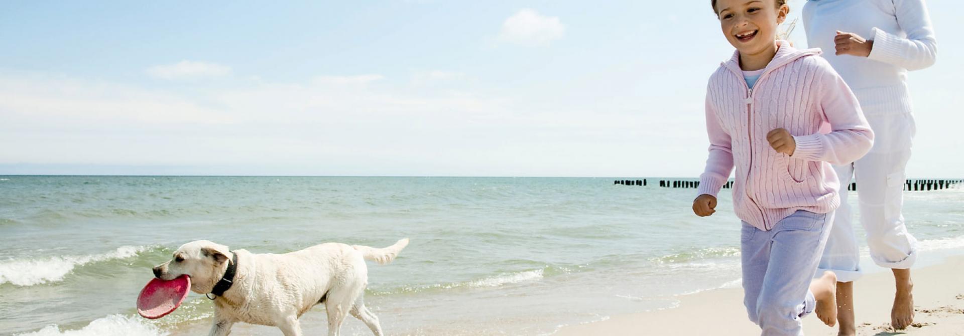 mit-dem-hund-am-strand.jpg