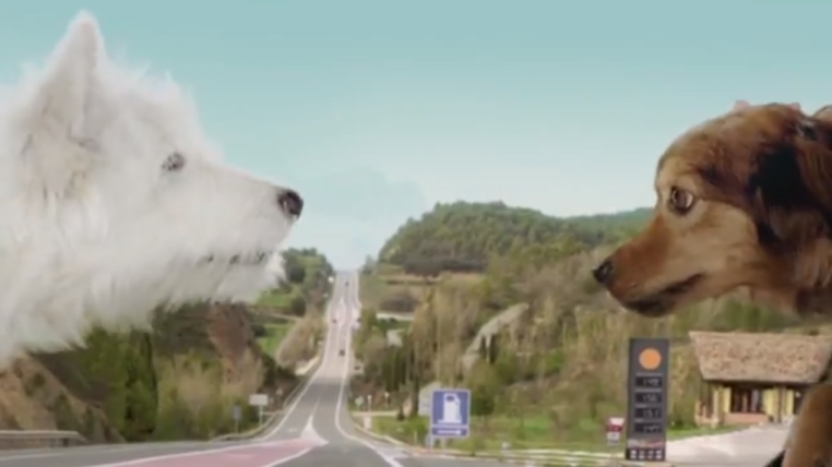 citroen.png